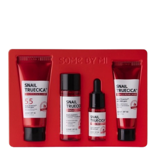 Snail Truecica Miracle Repair Starter Kit